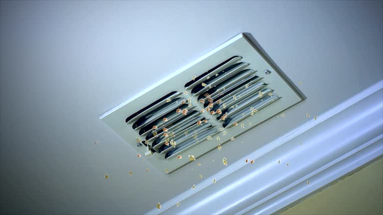 Best Air Duct Cleaning Company Near Me  in Brook Highland, AL